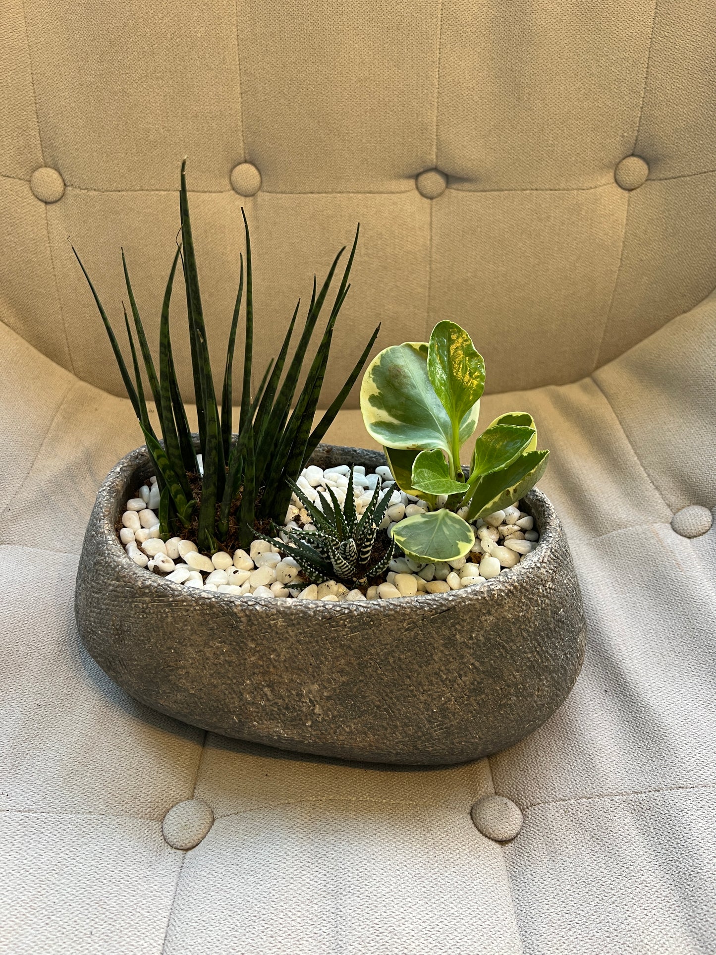 Desert Oasis Planter #2