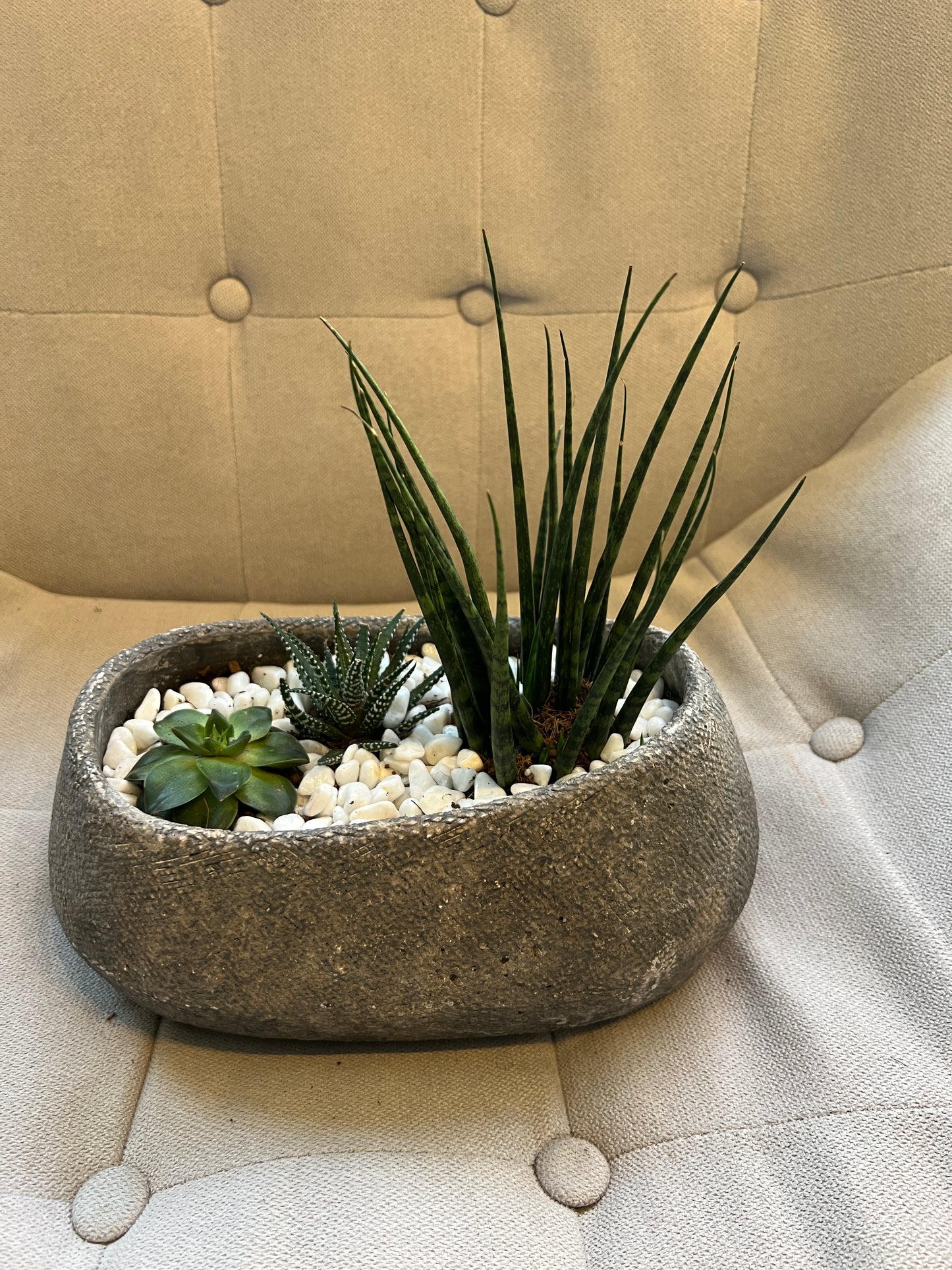 Desert Oasis Planter #1