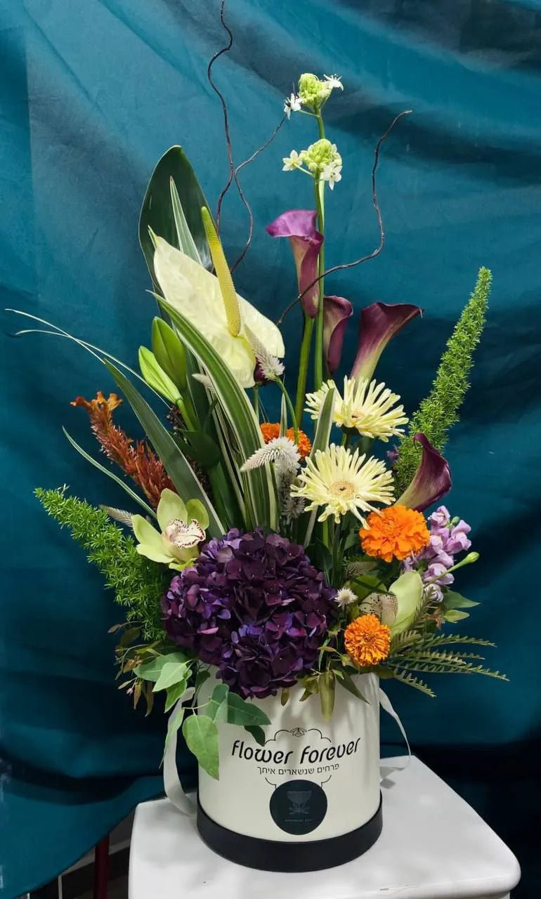 Purple Anthurium Arrangement