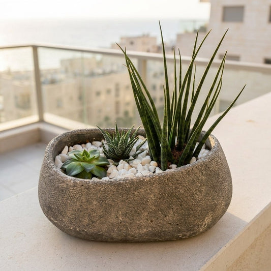 Desert Oasis Planter #1